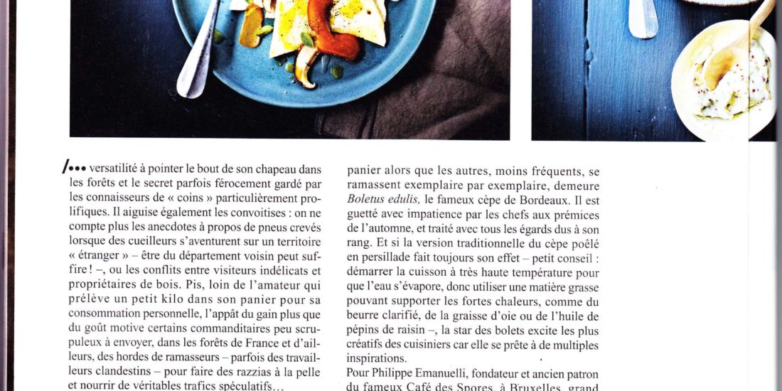 magasine styles