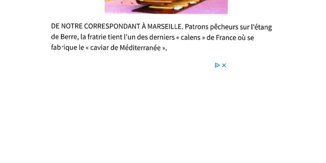 ARTICLES DANS LES ECHOS